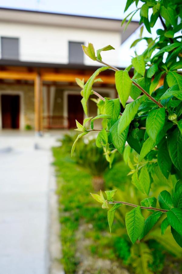 Bed and Breakfast Atomos Alvignano Экстерьер фото